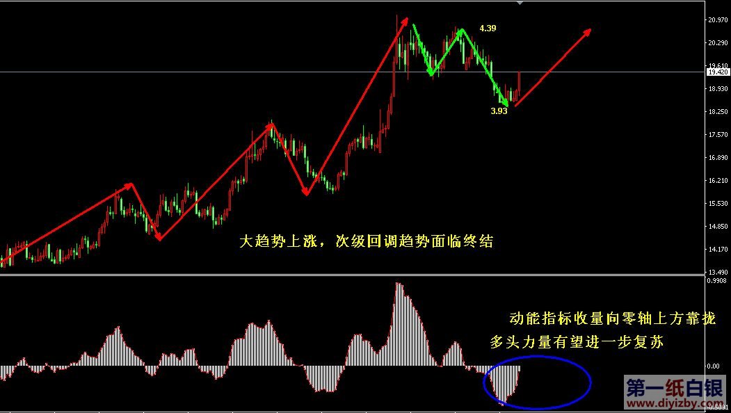 第一纸白银网最新消息，行业趋势与市场动态深度解析