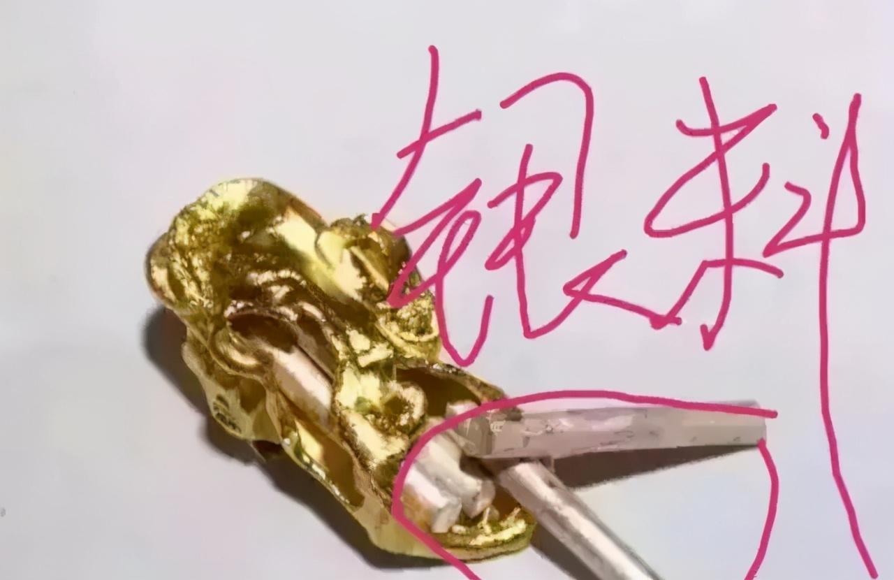 岁月是把猪饲料 第57页