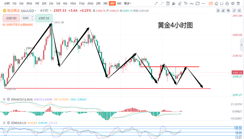 上海黄金网今日价格，黄金市场的动态与趋势分析