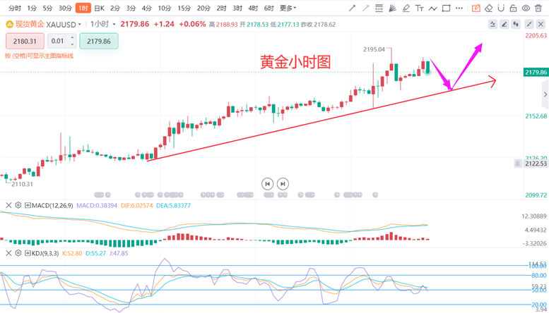 今日金价官网查询，黄金价格的动态与解读
