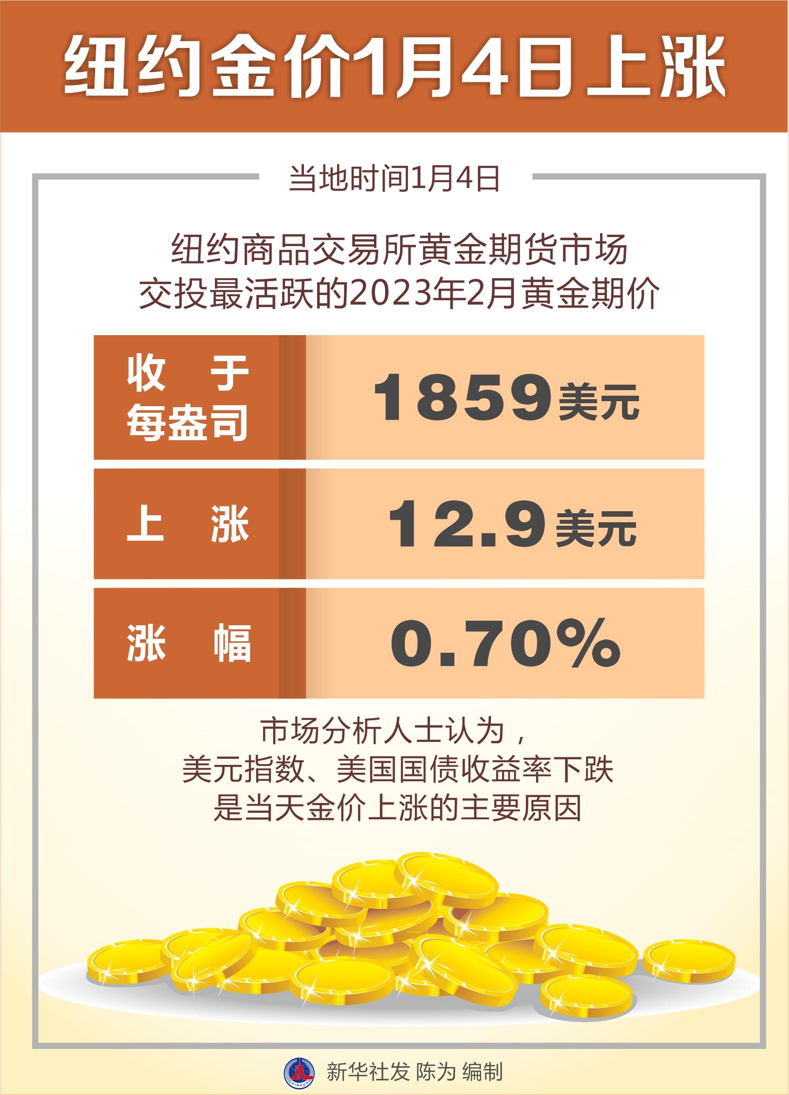 2023全年金价表概览及市场趋势分析