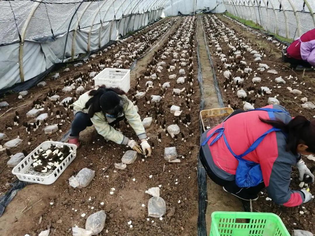 我在中国黄金上班的感受