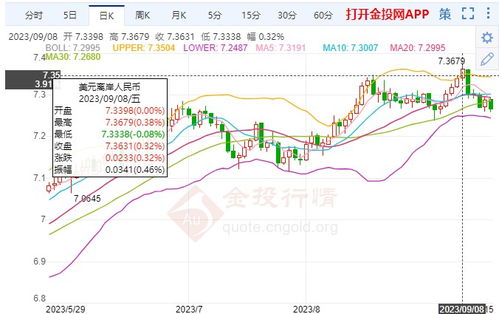 金价一般多少钱一克正常，解析黄金价格的波动因素及市场现状