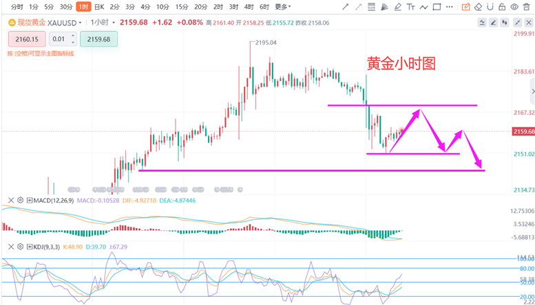 黄金价格的波动与趋势，现在黄金价格多少一克（2020年）