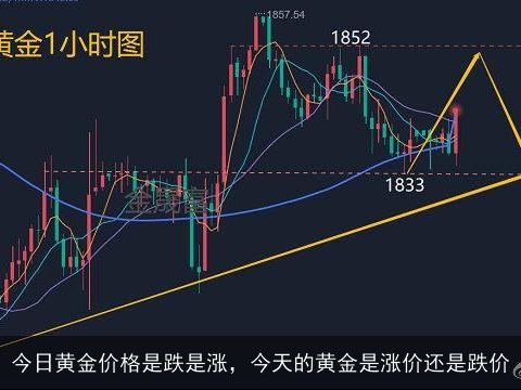黄金价格的波动，今天黄金涨价了吗？