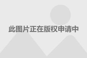 最新国际黄金价格的动态与影响