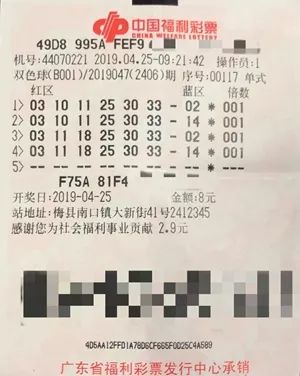 双色球11月4日开奖号码，揭秘幸运之门背后的秘密