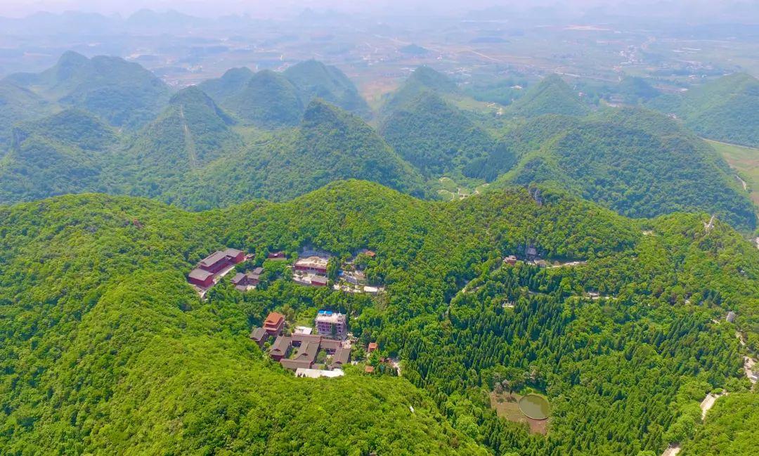 贵州十一选五走势图，探索一定牛的奥秘