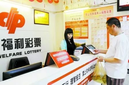 湖南体彩网官网推荐号，探索彩票世界的信赖之选