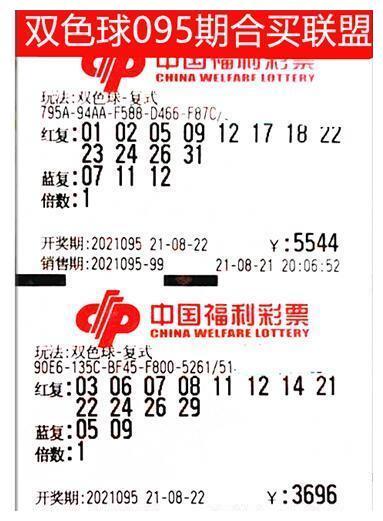 七星彩网投，探索与理性投注的交融