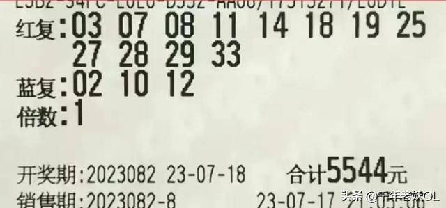 双色球23044期晒票，期待与惊喜的交织