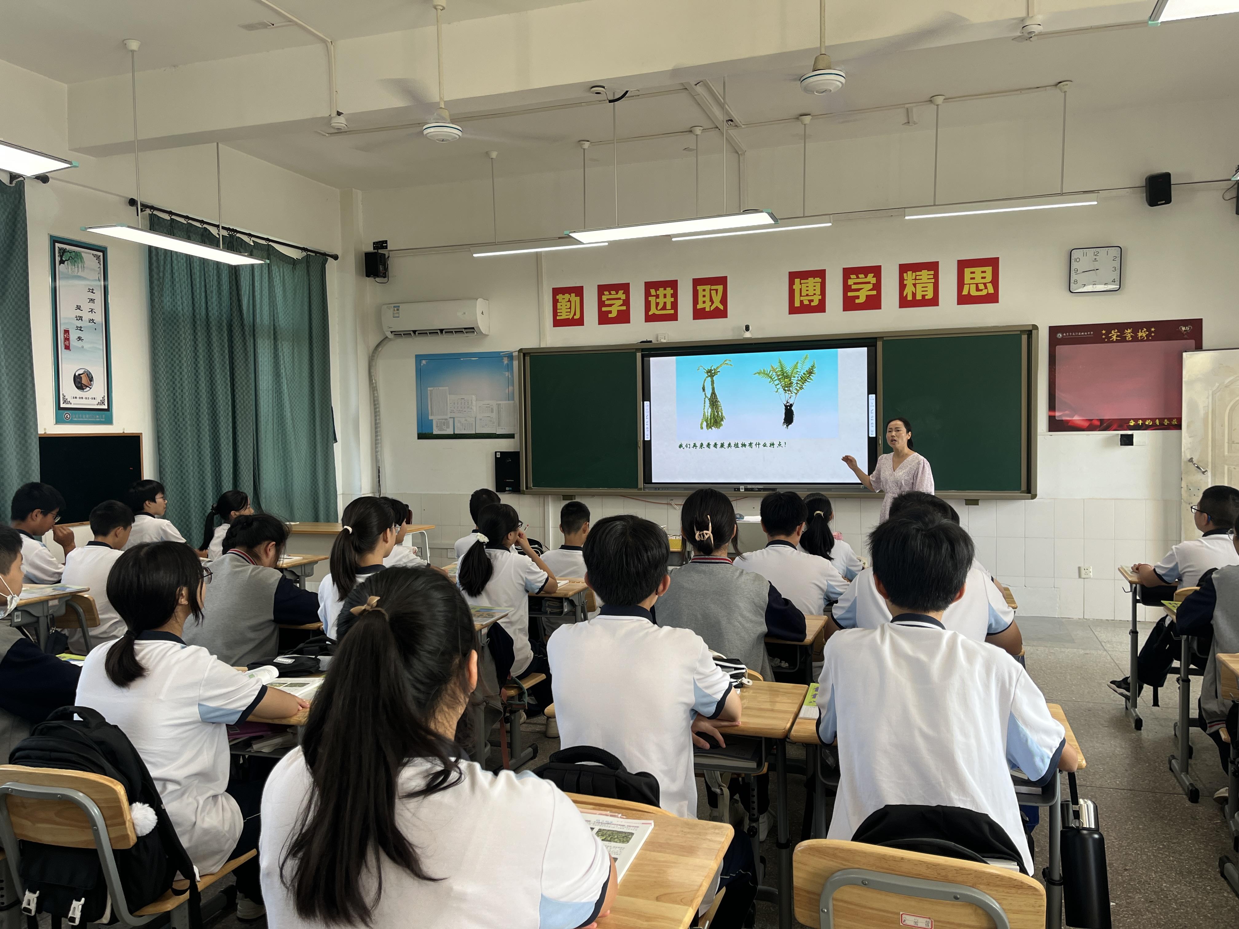 探索三D基本走势图标准版，揭示数据背后的奥秘