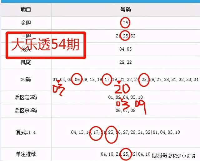 三地开奖号码解析，探索随机性与规律性的交汇点