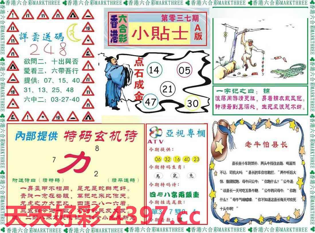 精选资料中的二四六玄机图，揭示背后的秘密与启示