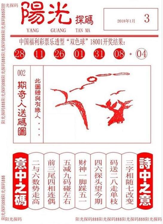 双色球阳光探码与彩民乐，揭示彩票背后的故事