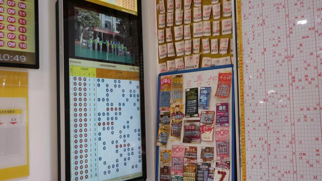 双色球号码组合的魅力与策略