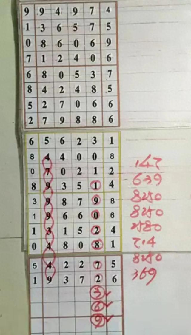 排列5开奖结果探索，48347是否已开出？