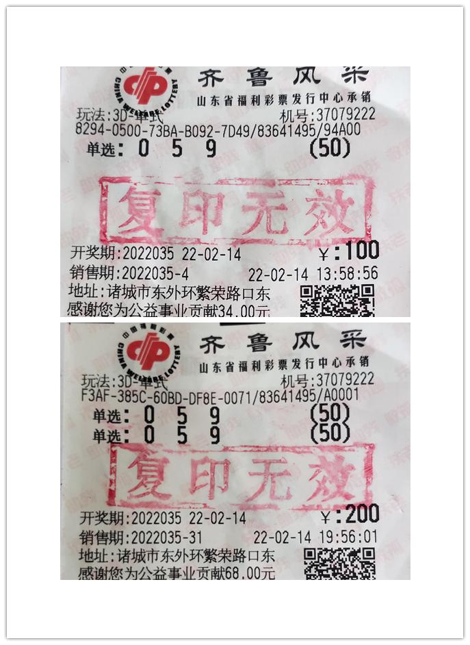 探索最新3D走势图表，揭示百期数据背后的秘密