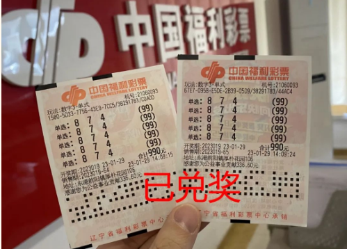丹东福利彩票网，探索彩票文化的魅力与机遇