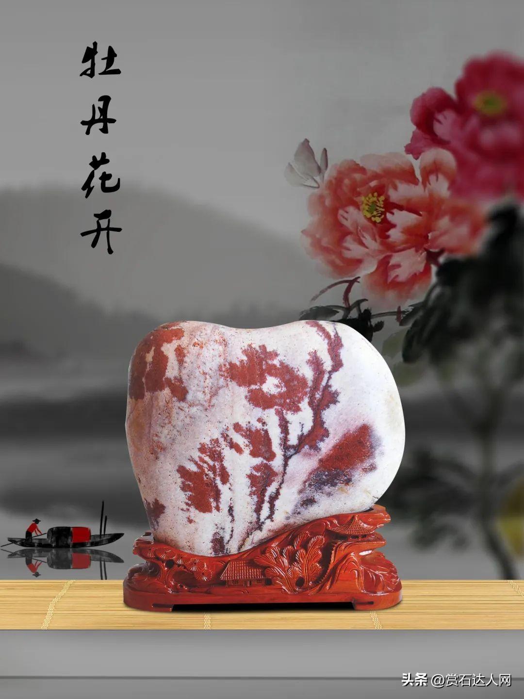 中国福彩双色球开奖结果查询2022年第088期，幸运与期待的重逢