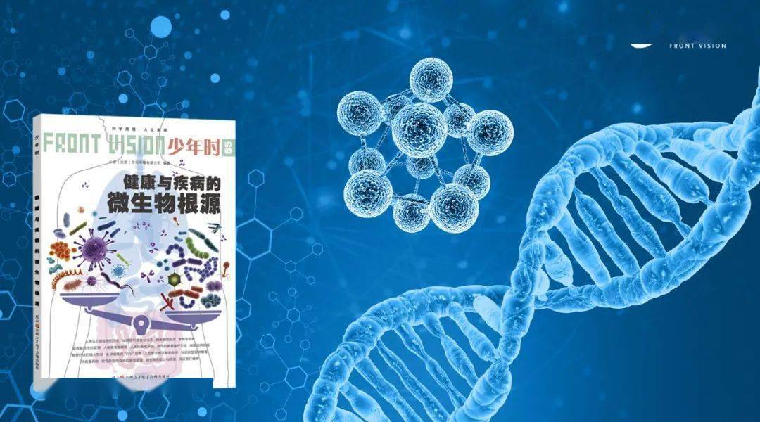 黄皮子独胆预测，探索未知，洞悉未来的神秘力量