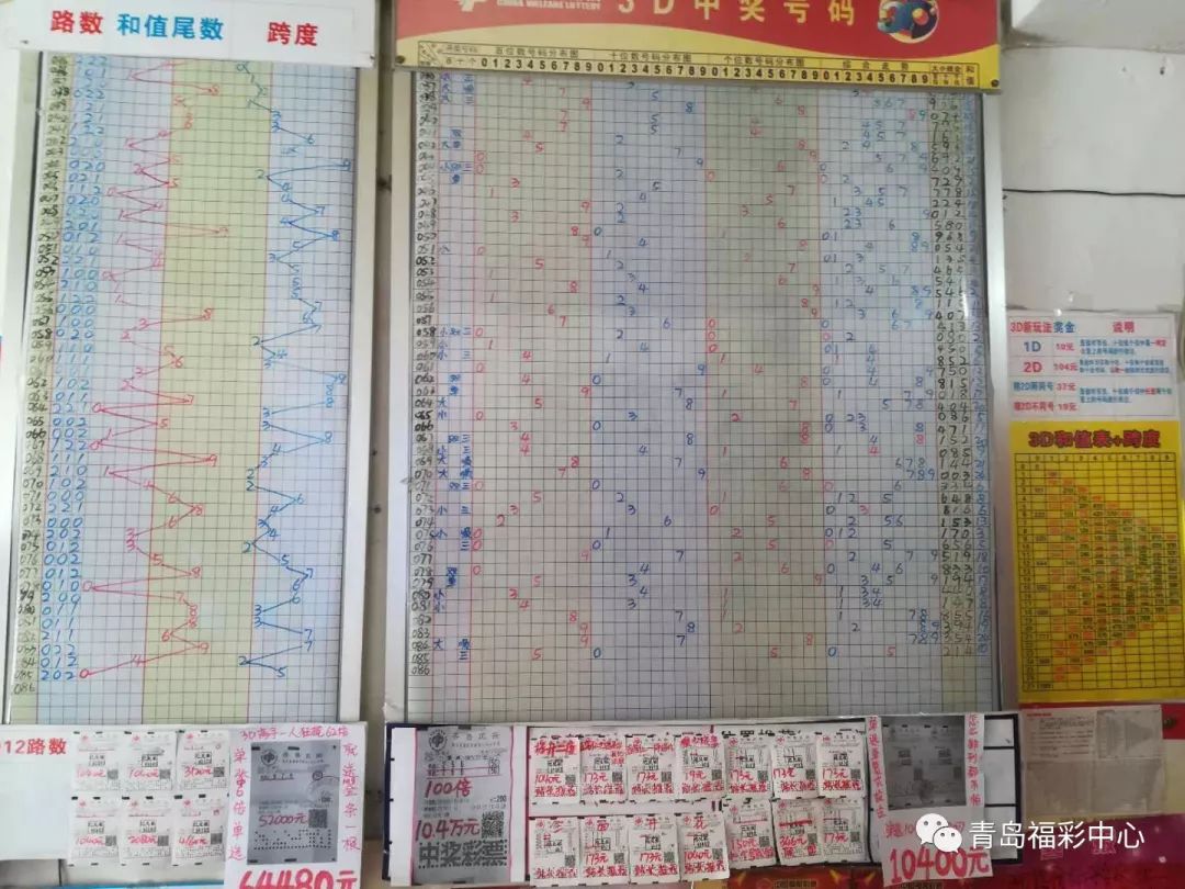 福彩3D走势图（带连线专业版），探索数字彩票的魅力与策略