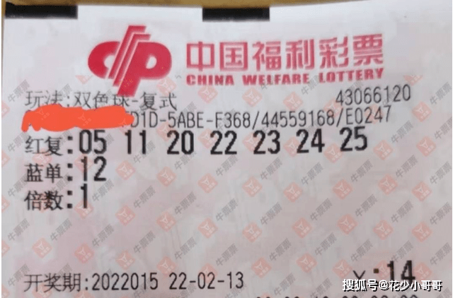 揭秘2020年第43期双色球开奖结果，幸运与梦想的交汇点