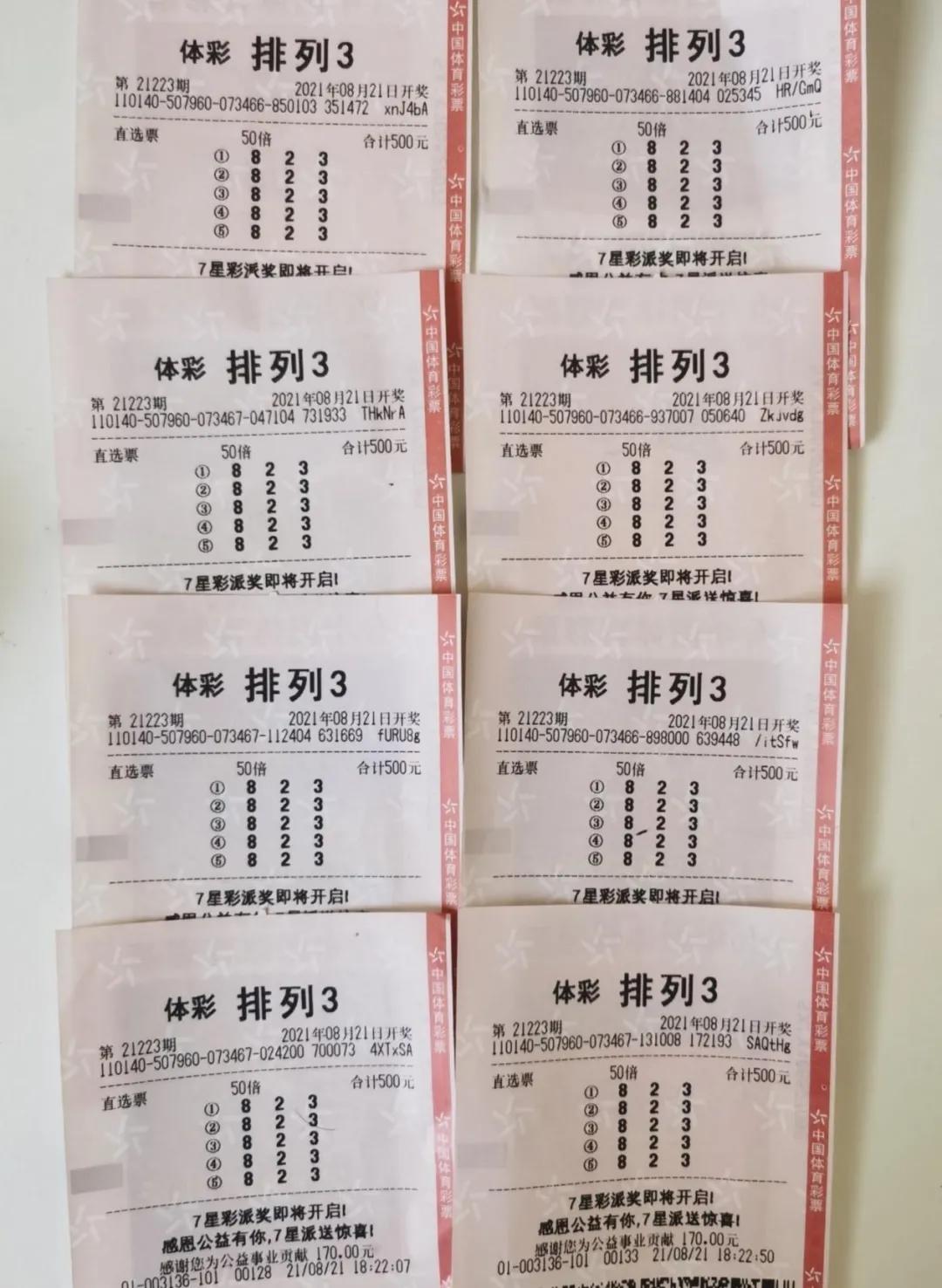 排列三历史数据下载，追溯彩票行业的数字记忆