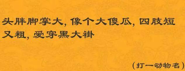 探索奥秘，适合10到15岁青少年的谜语大全