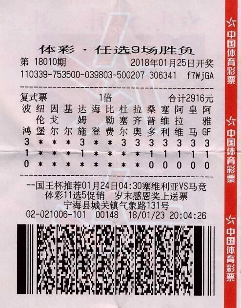 足彩任选九奖金，探索与解析
