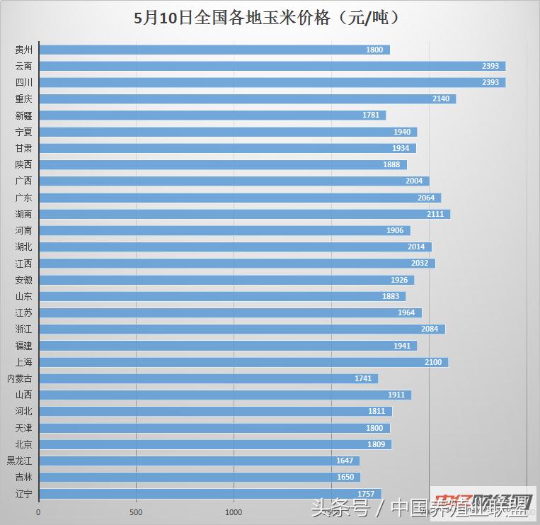 贵州11选5开奖走势图结果，探索数字彩票的魅力