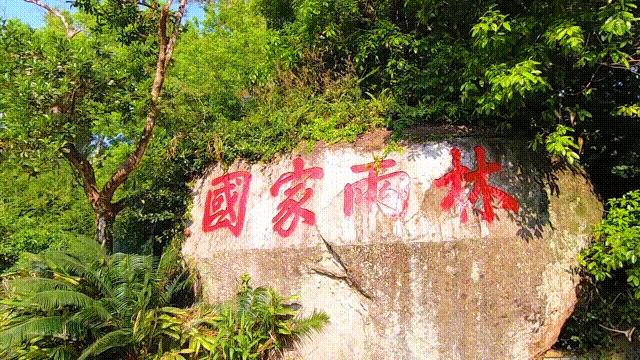 彩票软件大全2021，探索彩票科技的无限可能