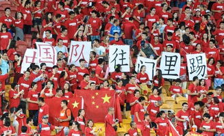 关于未来赛制预测，2026世界杯亚洲区的挑战与机遇