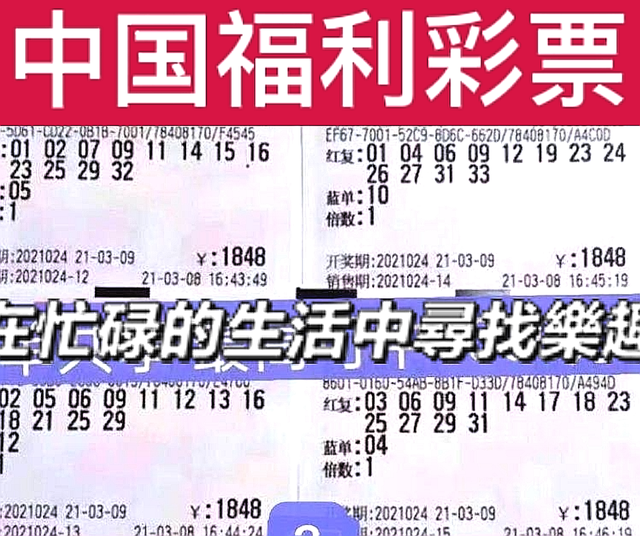 双色球2013079期开奖结果揭晓，幸运与期待的重逢
