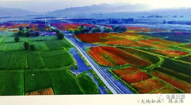一、历史沿革与地理概况彭阳县残疾人家庭改造项目