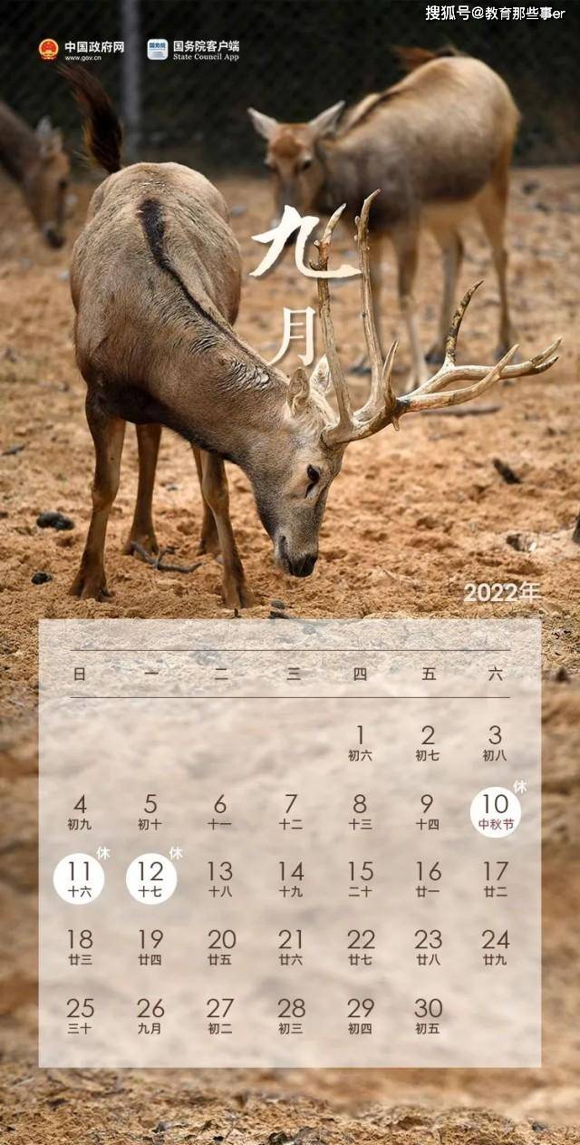 2022年澳门今晚特马图