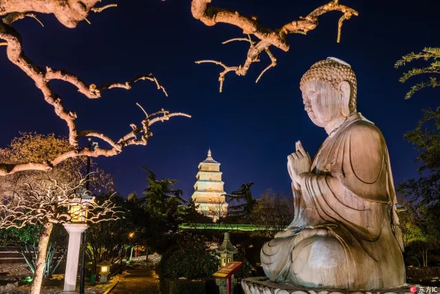 来灯自由论坛诗象