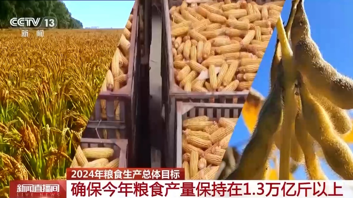 ww4949王中王2024年o