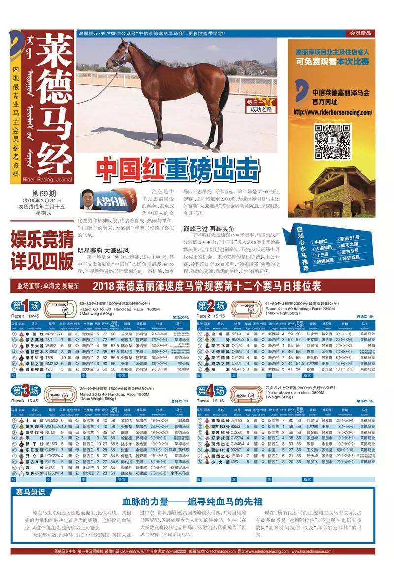 买马最准的资料2019今晚