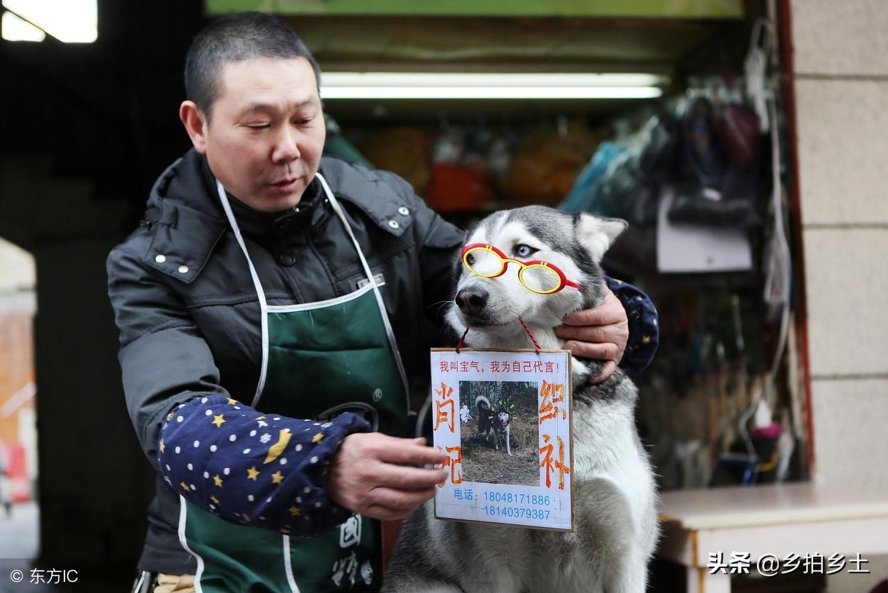 四肖选一肖一特