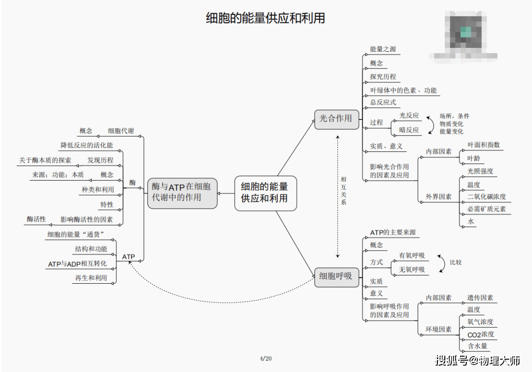 黄大仙精选三肖三码必开功能