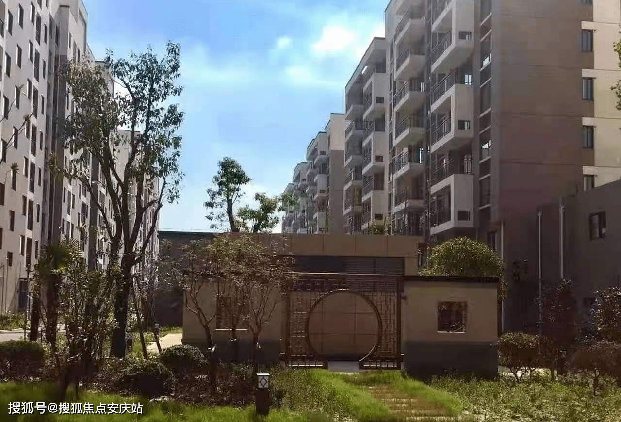 2024澳门天天开好彩大全最新版本