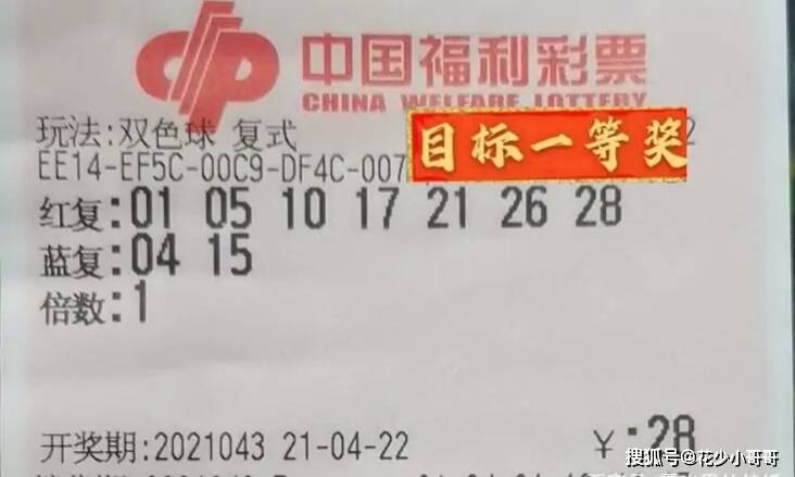 马匹开奖结果