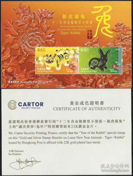 探索白姐一肖中特马资料大全，揭秘背后的秘密与魅力白姐最准一肖