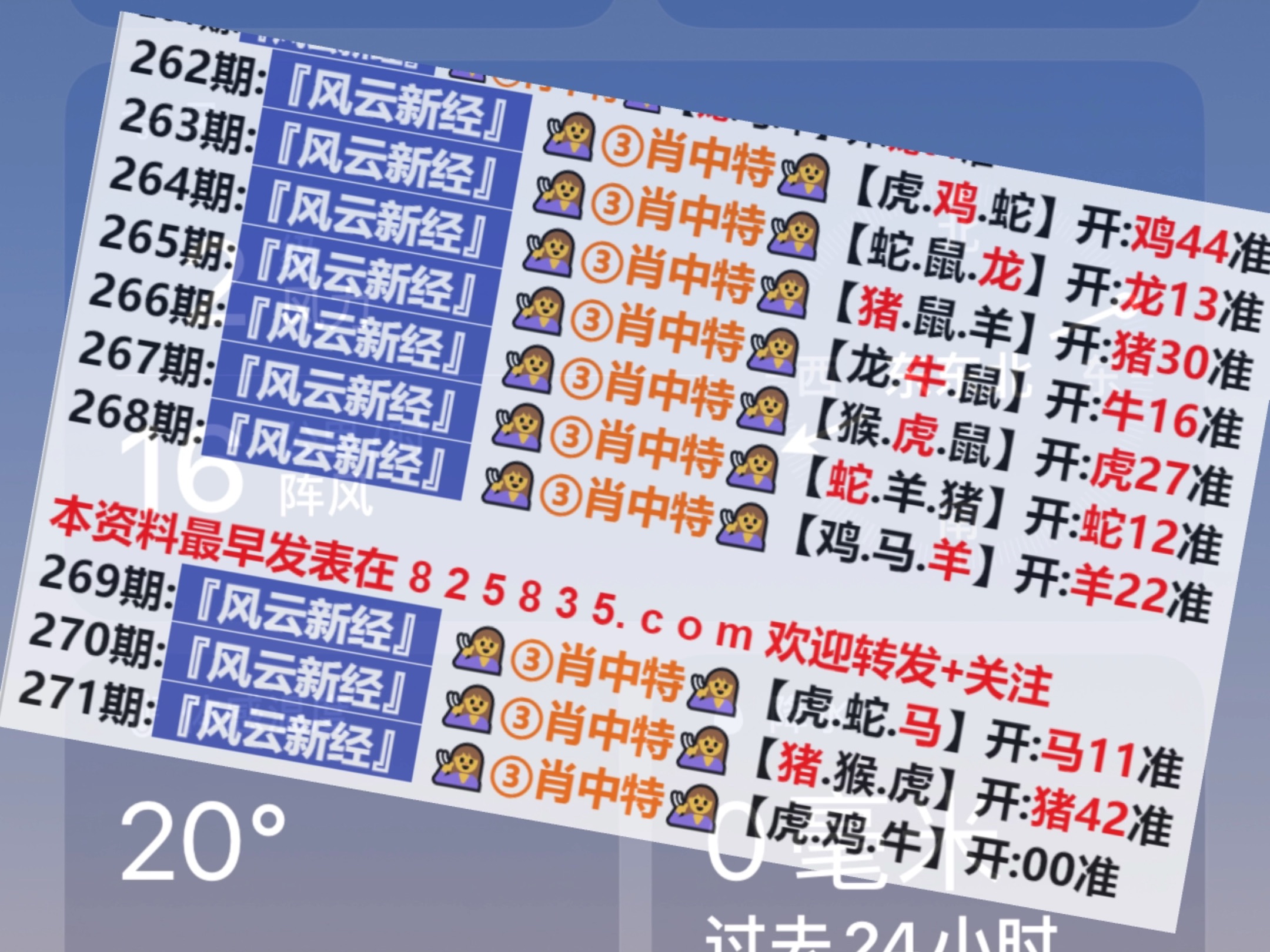 我们白着呐 第20页