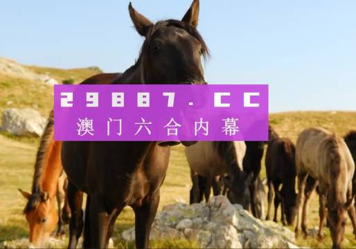 2023澳门管家婆大全免费2024