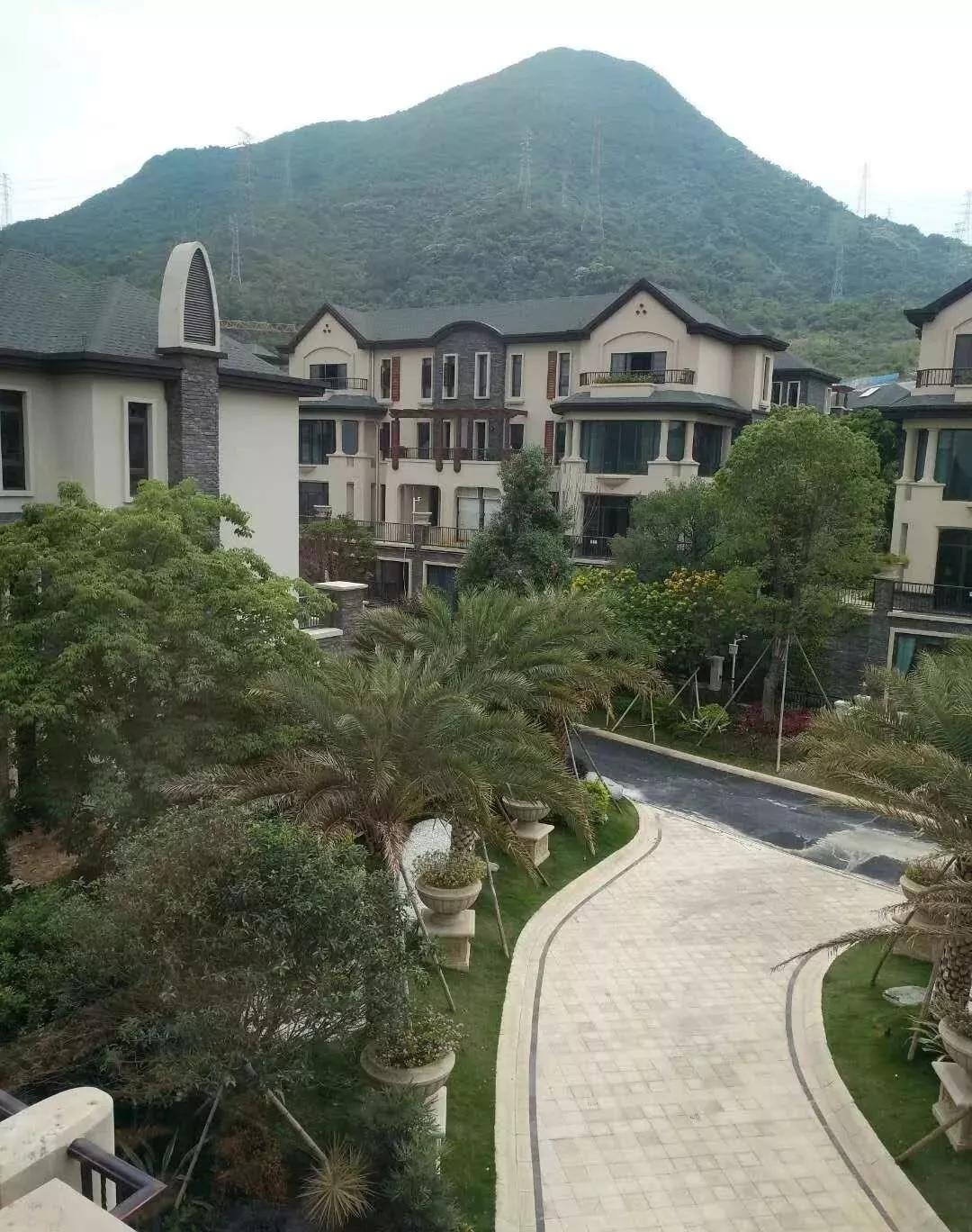 新澳门今期开奖结果查询网页