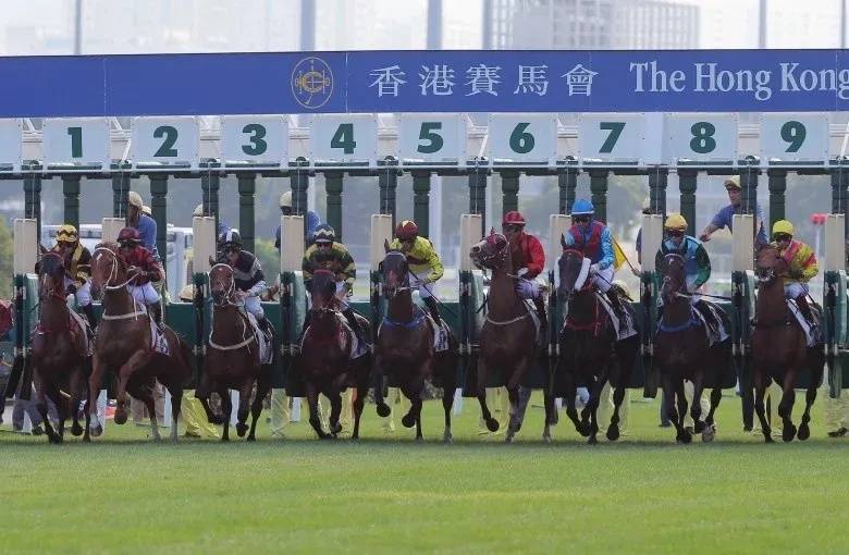 香港马会2021年开奖日期