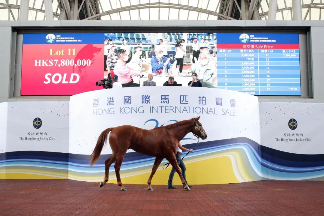 香港马会2021年开奖日期