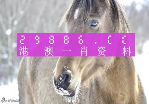 澳门一肖一码100精准的背景故事